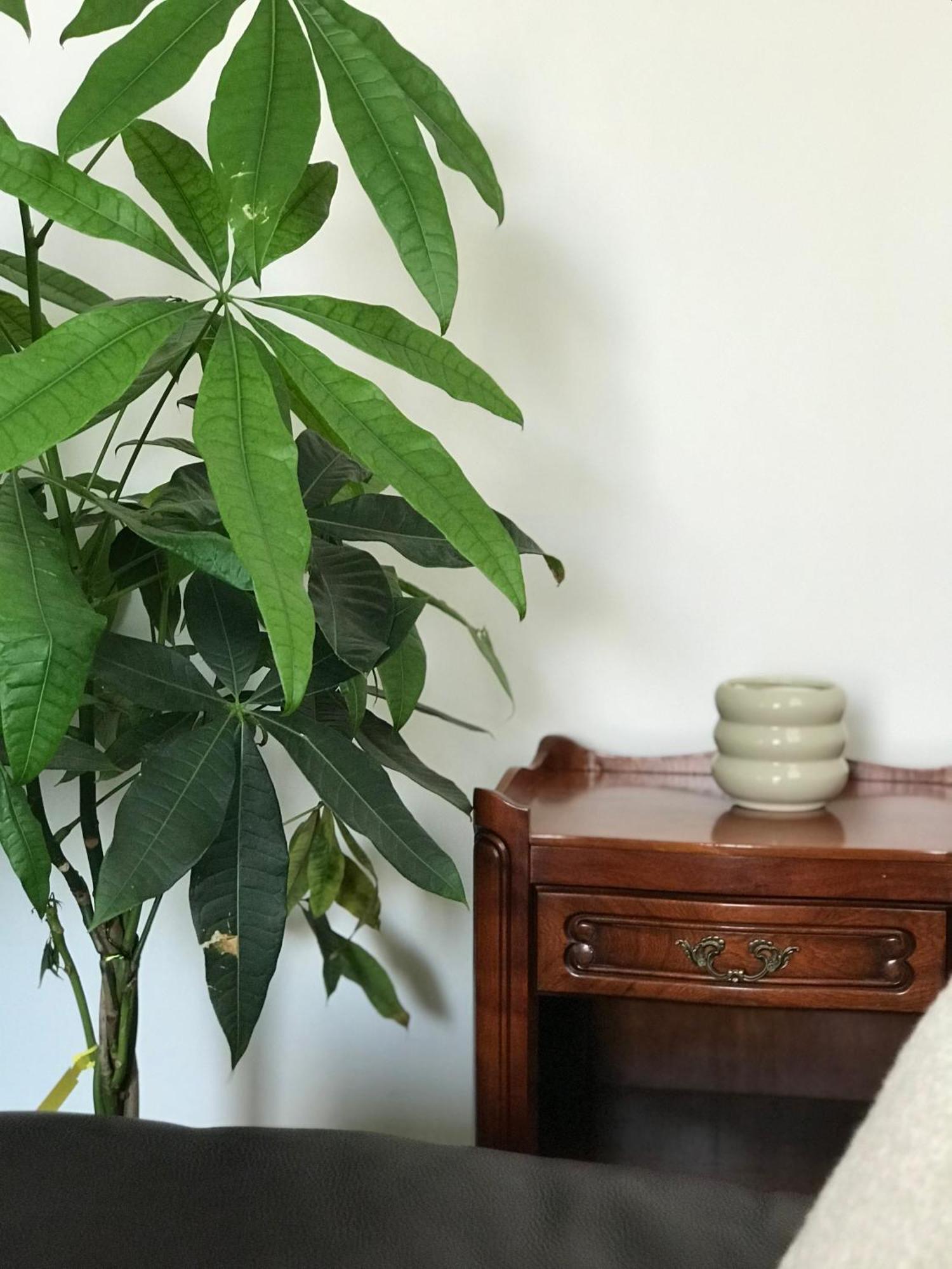 Appartement Cozy Frenchy Nearby La Seine Parijs